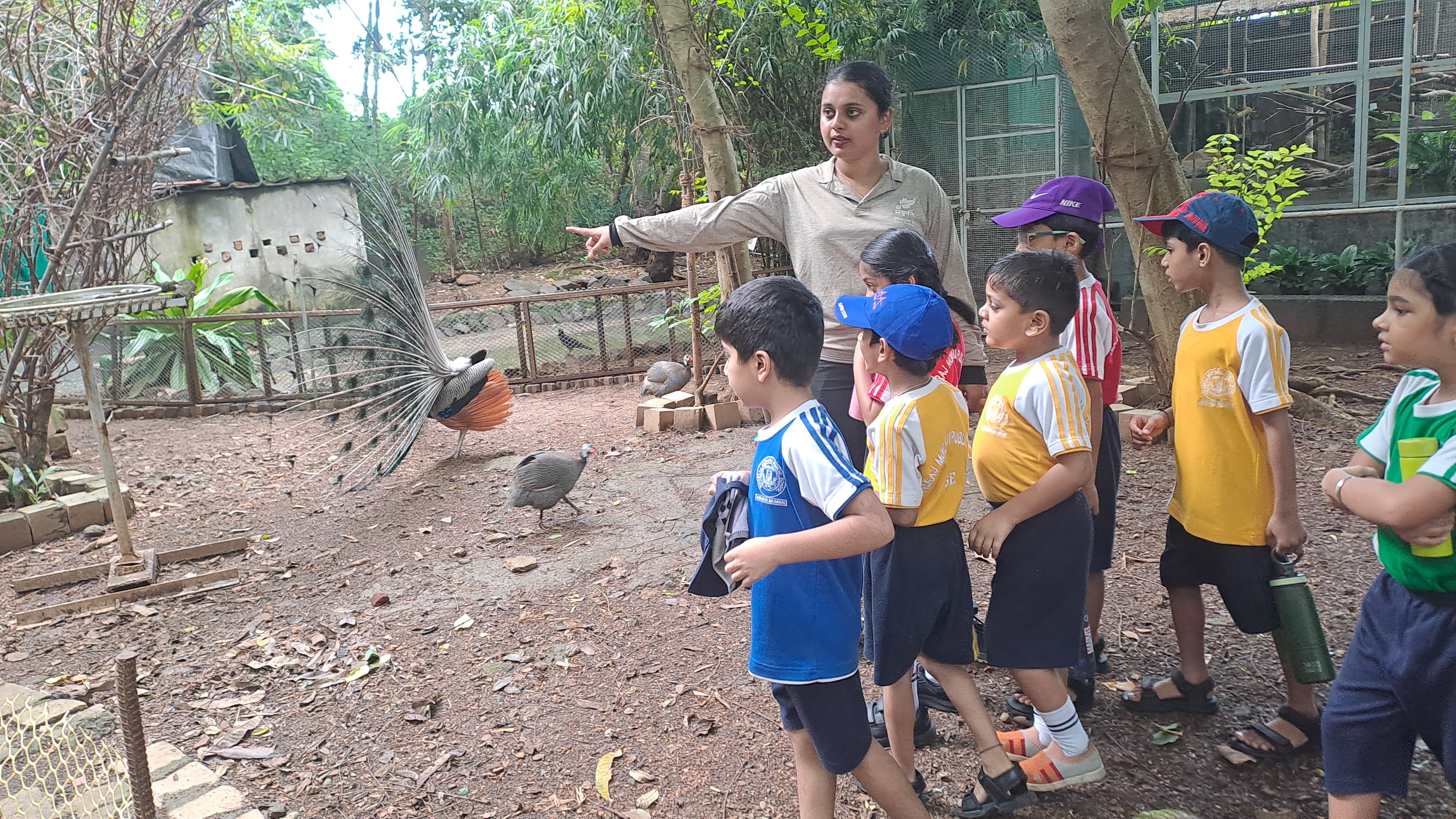 Bhavan's Nature Camp