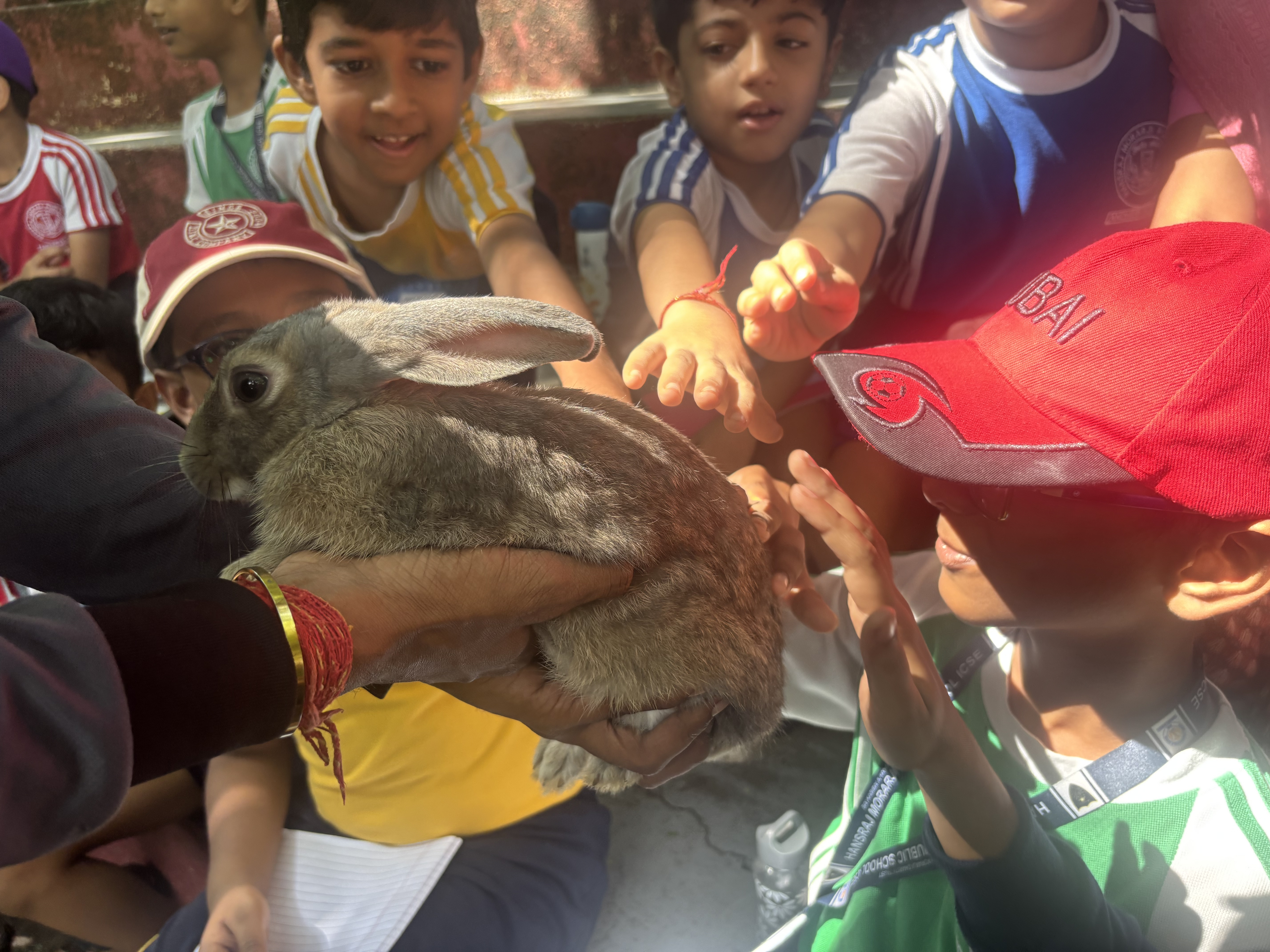 Bhavan's Nature Camp
