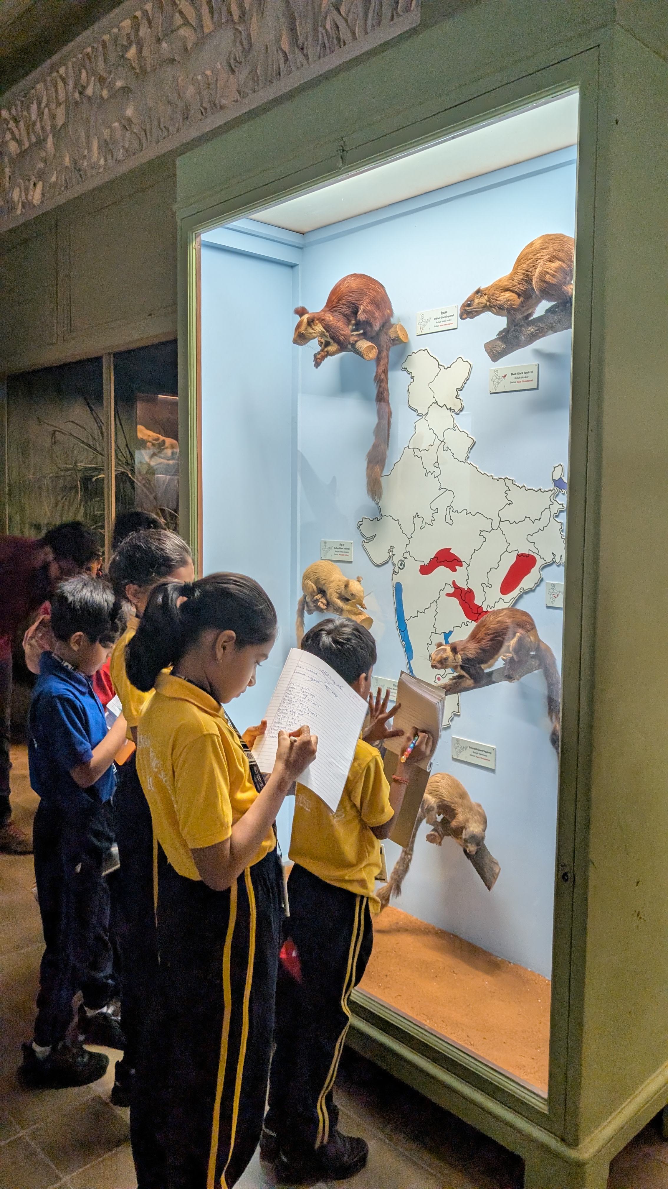 🏛️✨ Educational Field Trip to Chhatrapati Shivaji Maharaj Vastu Sangrahalaya ✨🏛️
